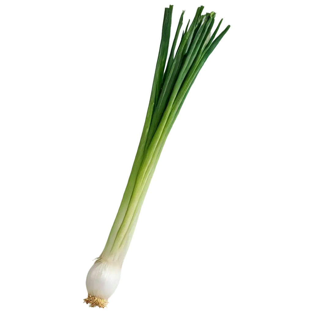 HighQuality-Green-Onion-PNG-Image-for-Culinary-and-Design-Uses