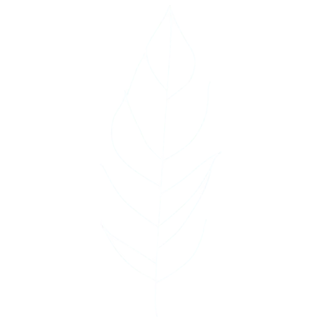 Leaf-Line-Art-PNG-Exquisite-Illustration-of-Botanical-Elegance