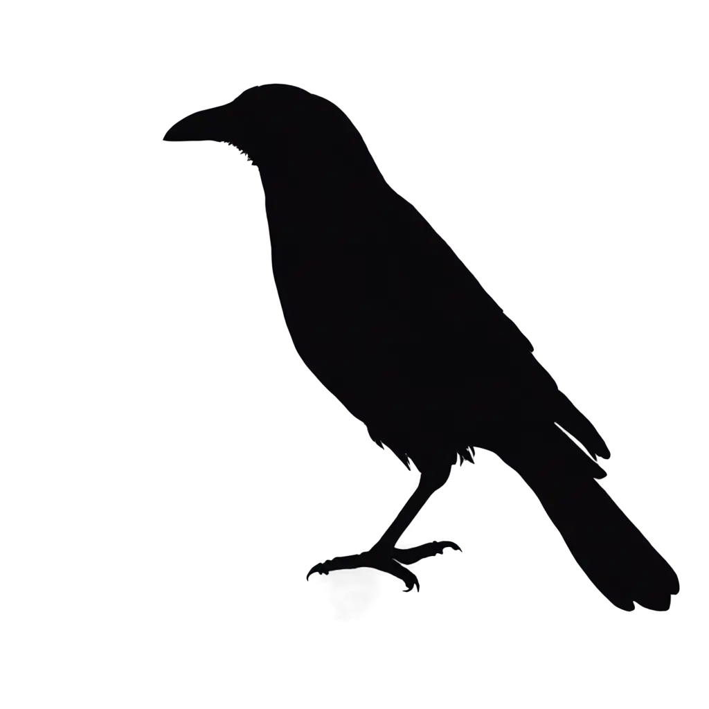 Black-Silhouette-Crow-PNG-HighQuality-Transparent-Image-for-Creative-Projects