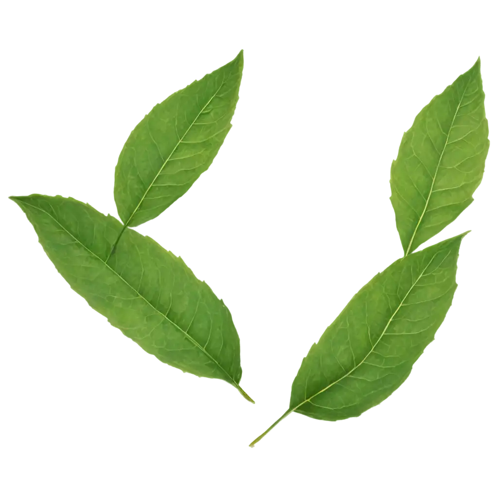 Green-Leaves-Scattering-from-Bushes-PNG-HighQuality-Transparent-Image-for-Versatile-Use