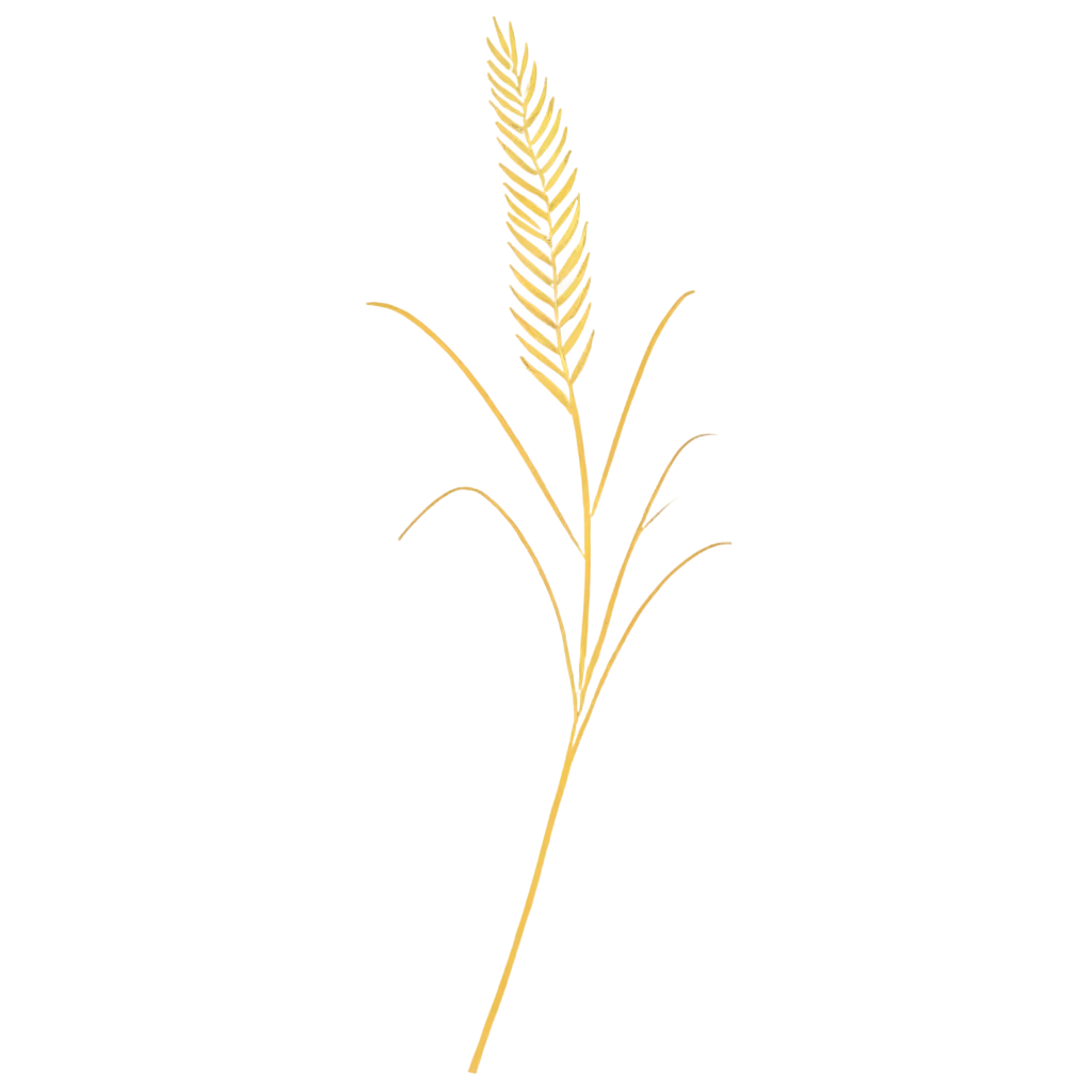 Elegant-Golden-Wheat-Stalk-SemiCircle-PNG-for-Modern-Logo-Design