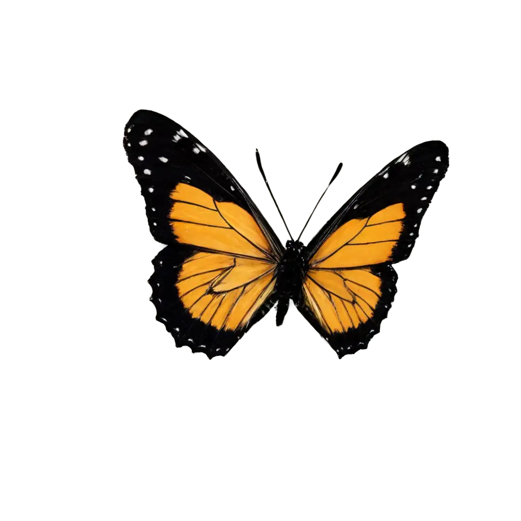 Beautiful-Butterfly-PNG-Image-Enhance-Your-Projects-with-Stunning-Clarity