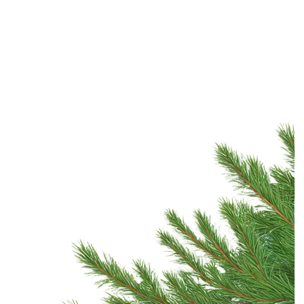 fir tree branches