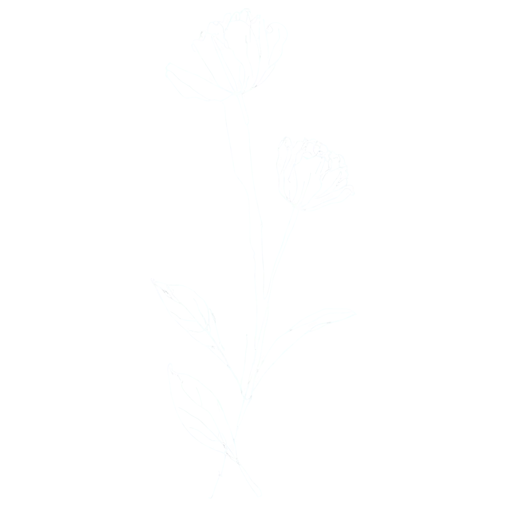 Elegant-OneLine-Flower-Drawing-in-PNG-Format-for-Versatile-Design-Use