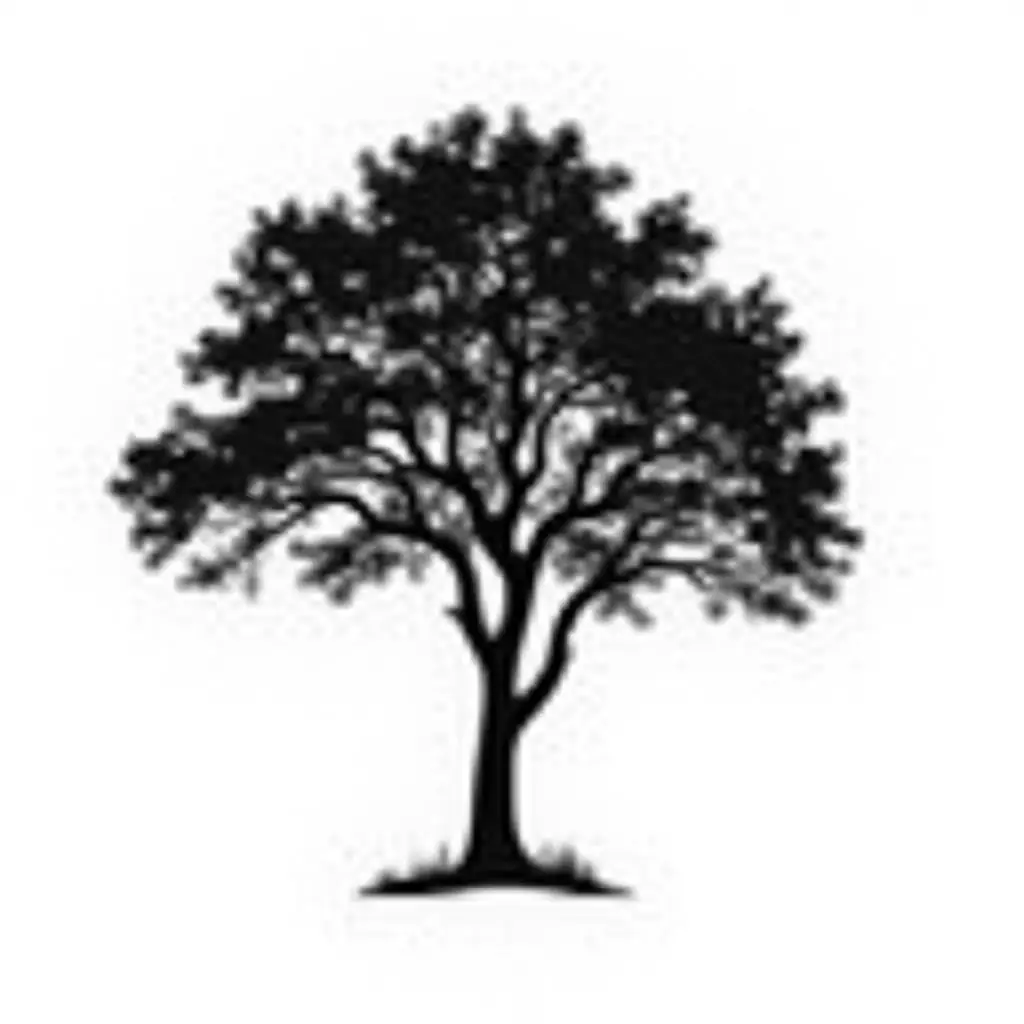 autumn tree black outline silhouette isolated on white background