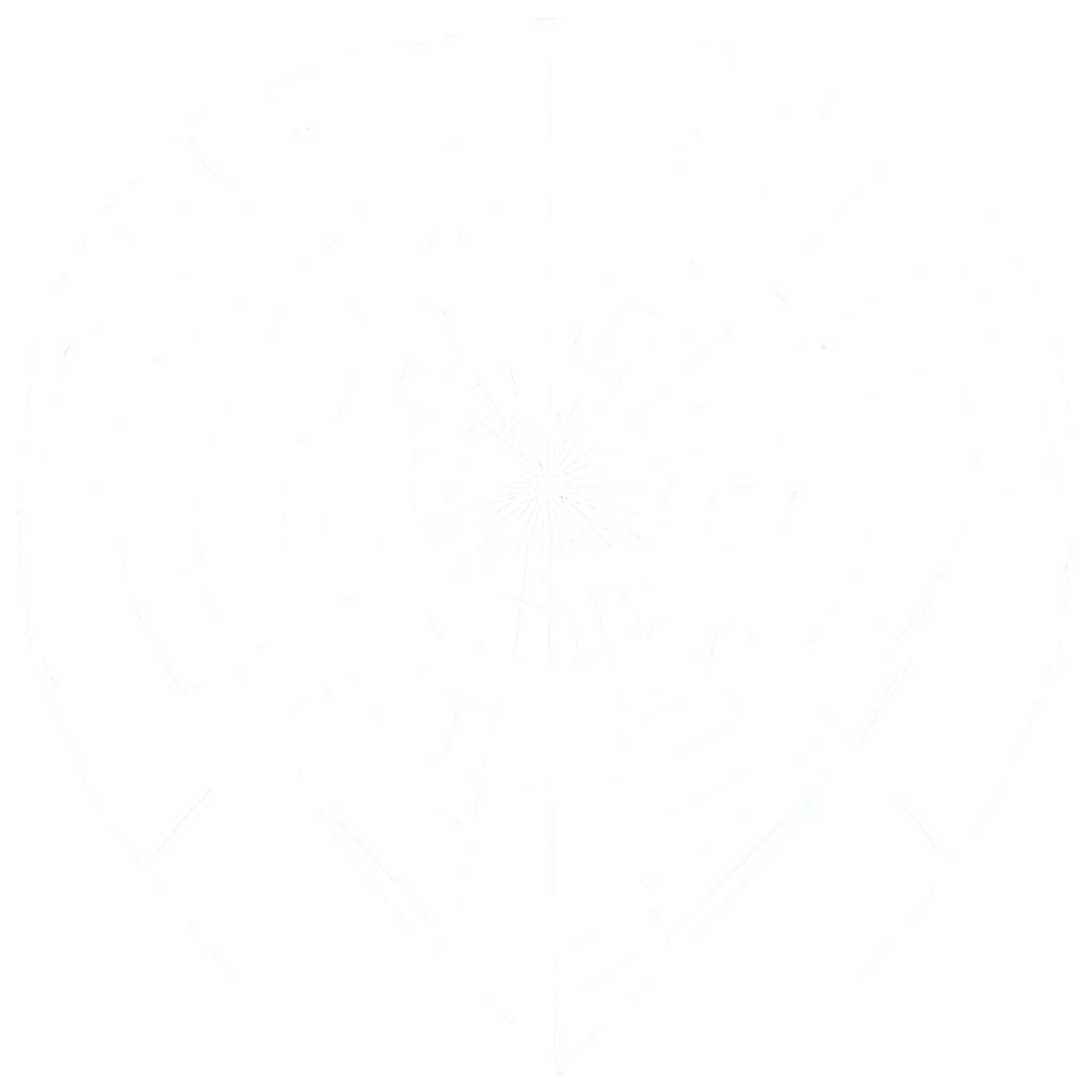 HighQuality-PNG-of-a-Shield-Made-of-Spider-Web-for-Creative-Use