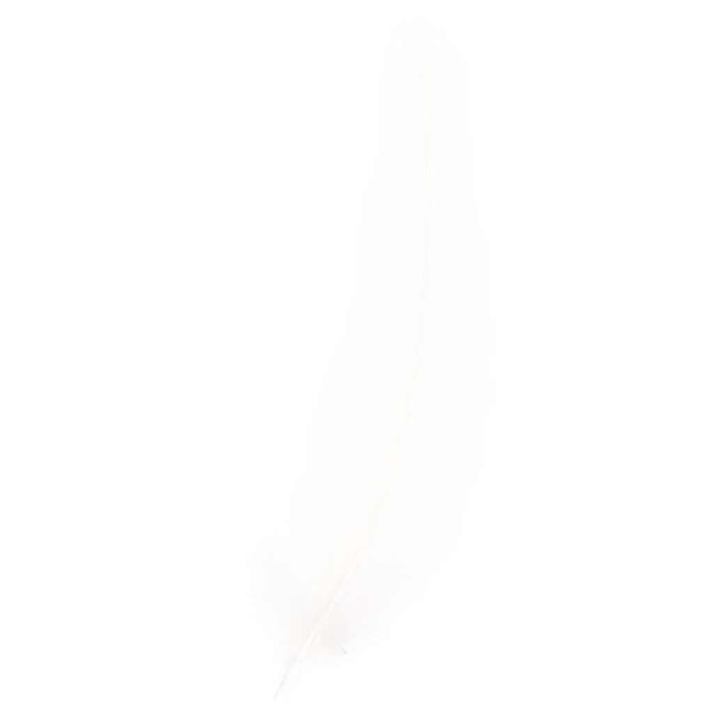 HighQuality-White-Feather-PNG-Image-for-Versatile-Use