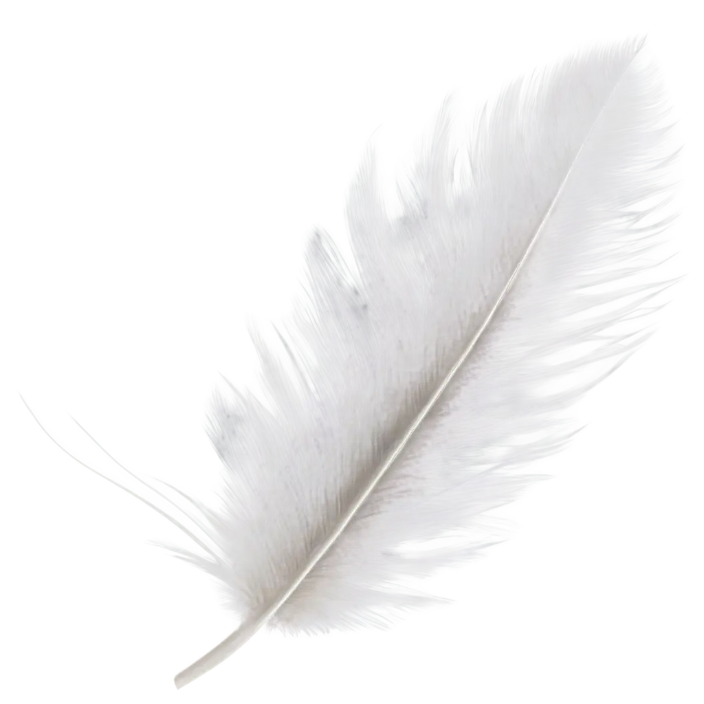 Lightweight-White-Feather-PNG-Image-for-Creative-Projects-HighQuality-Transparent-Background-for-Versatile-Use