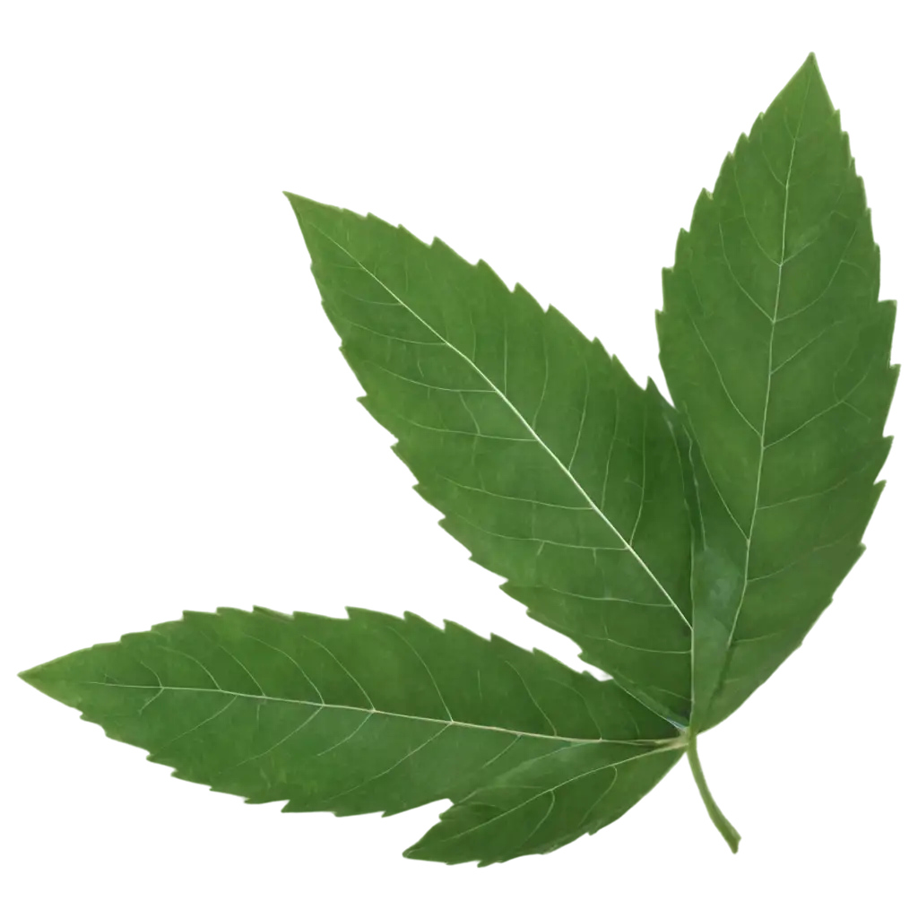 bush leaf