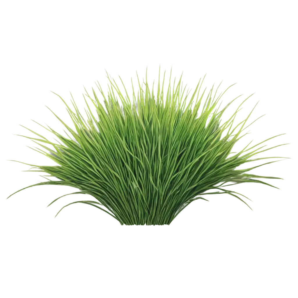 Enhancing-Online-Presence-with-a-HighQuality-PNG-Image-of-Green-Floor-Bush-Wheat-Radial