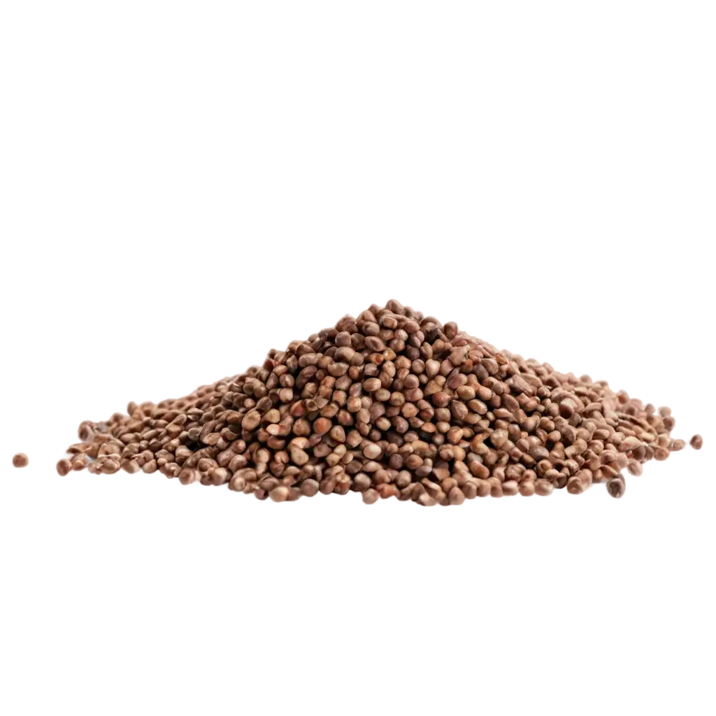 HighQuality-Sorghum-Seeds-Pile-Closeup-PNG-Image-for-Versatile-Use