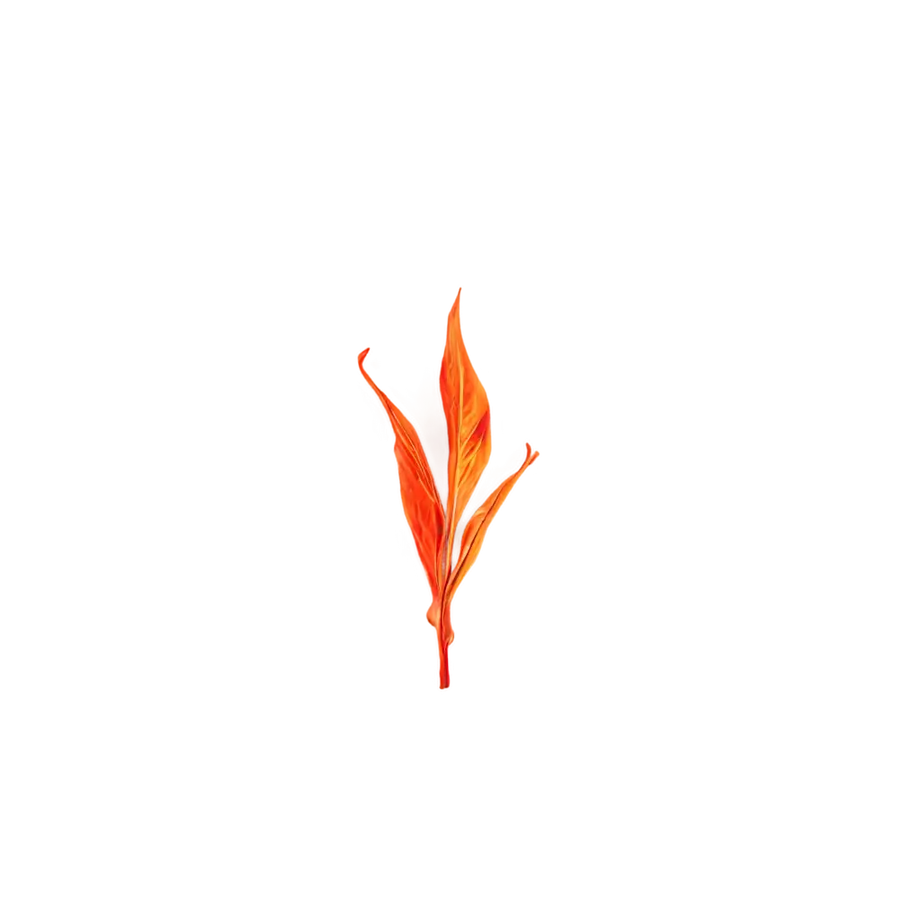 Enhance-Your-Content-with-a-HighQuality-PNG-Image-of-a-Leaf-with-Fire