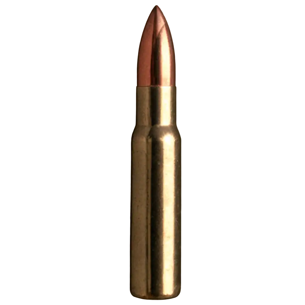 bullet