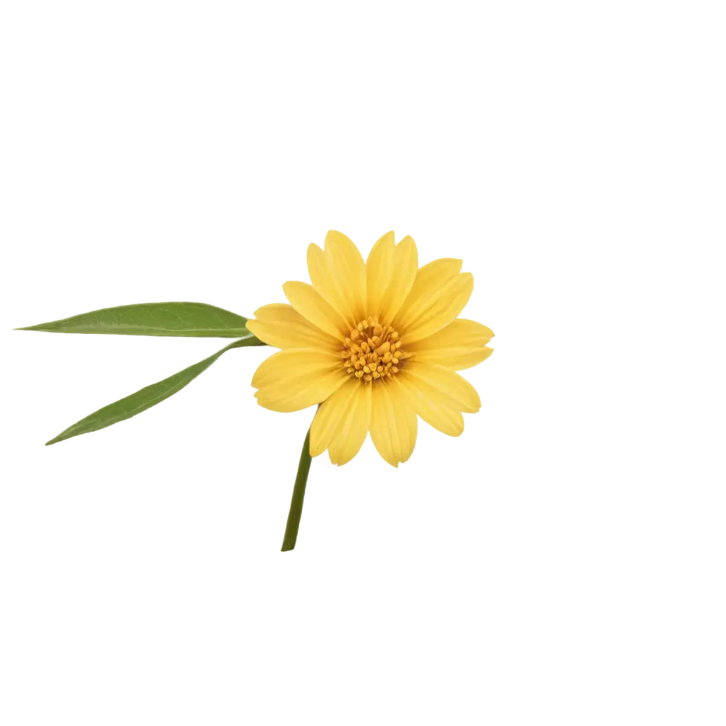 Yellow-Flower-Top-View-Animated-PNG-for-Creative-Projects-and-Design