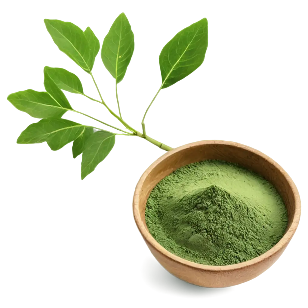 Moringa-Leaves-and-Moringa-Powder-PNG-Image-for-Healthy-Living