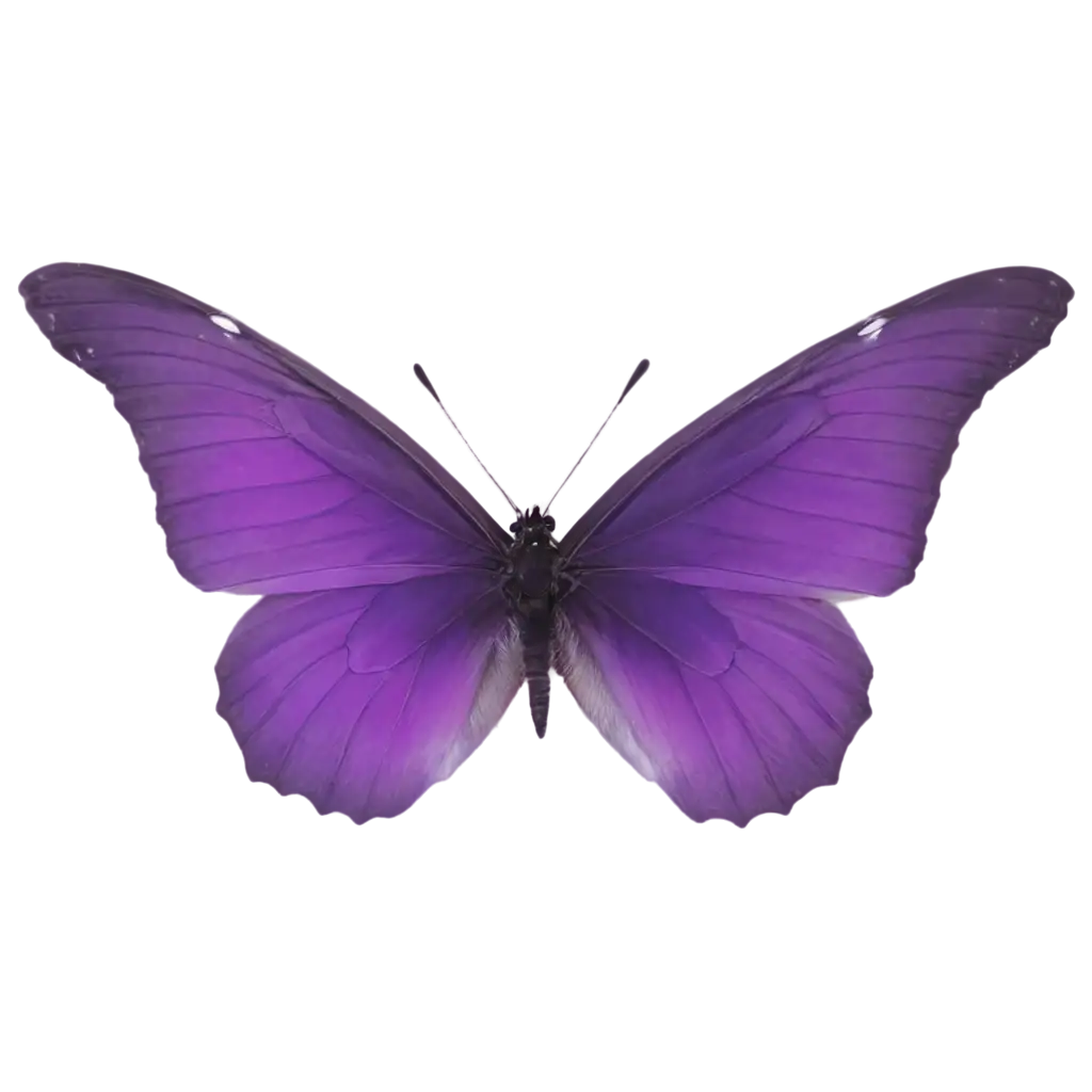 Exquisite-Purple-Butterfly-PNG-Image-Transform-Your-Designs-with-Clarity