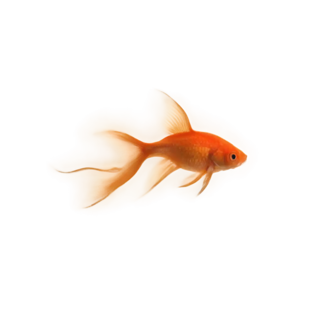 HighQuality-Goldfish-Silhouette-PNG-Image-Enhance-Your-Designs-with-Clarity