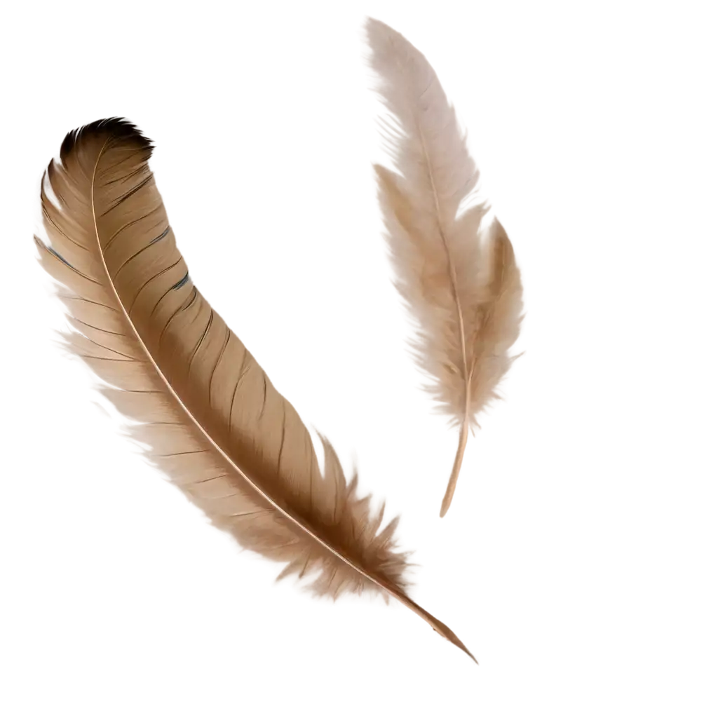 Two-Feathers-of-a-Bird-Fly-Down-PNG-Image-Concept-for-Art-and-Design