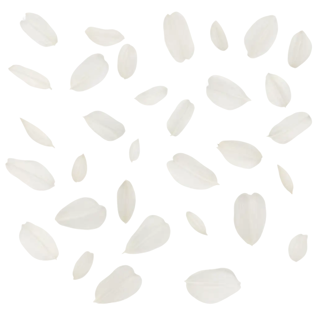 bunch of white flower petals falling from air