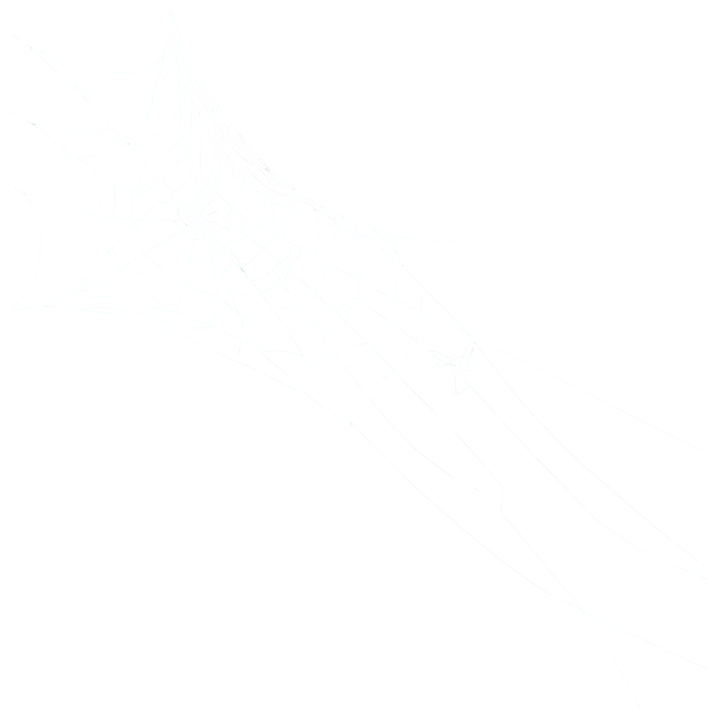 Stunning-Cobweb-PNG-Perfect-for-HighQuality-Digital-Projects