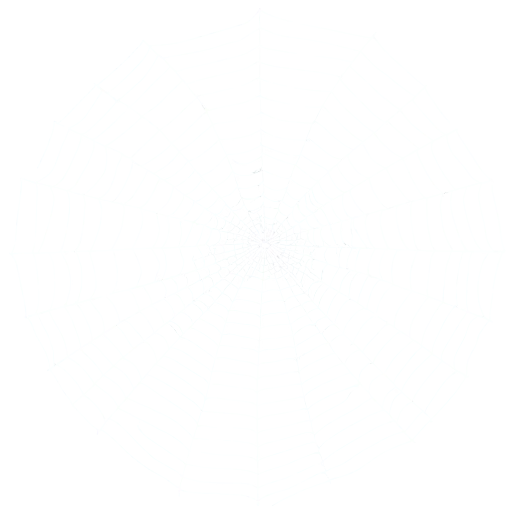 HighQuality-Spider-Web-PNG-Image-for-Versatile-Use