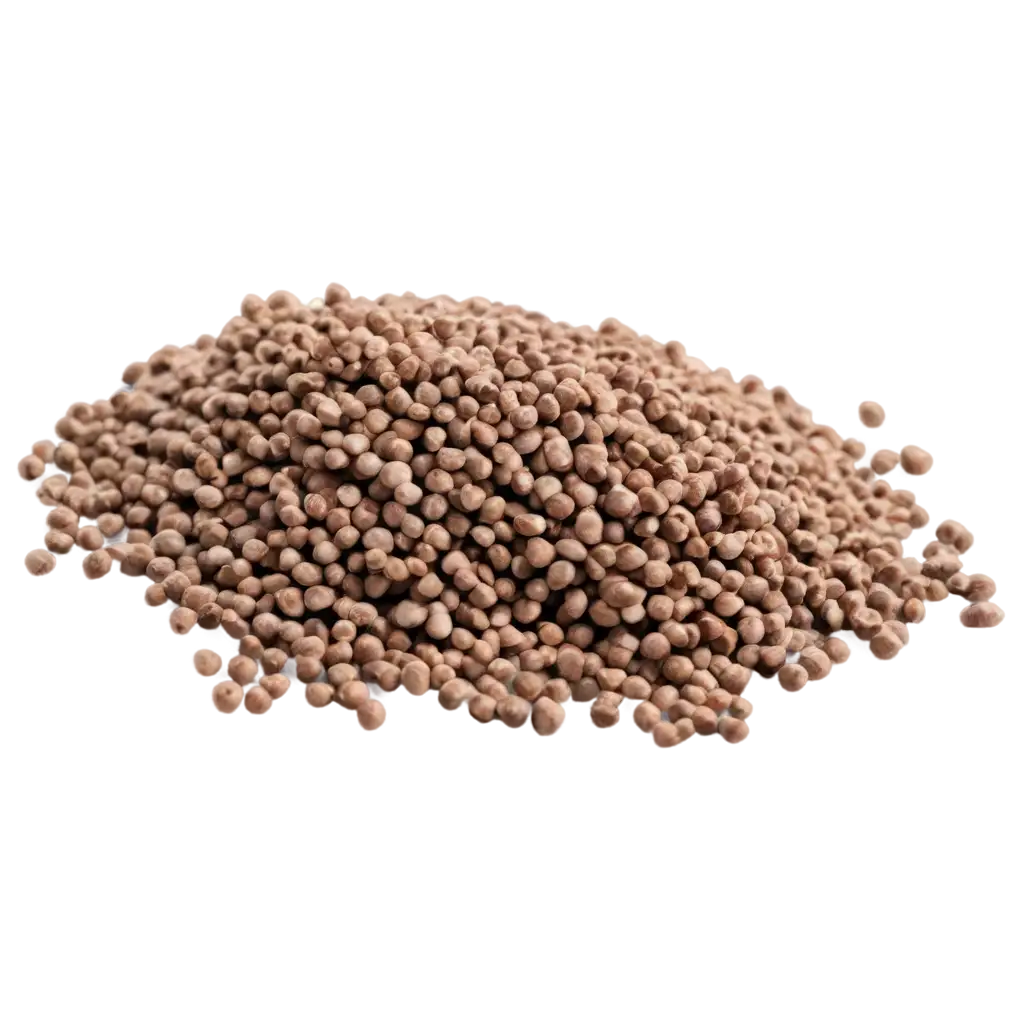 Himalayan-Buckwheat-PNG-Image-for-Digital-and-Creative-Use-HighQuality-Visual-Representation