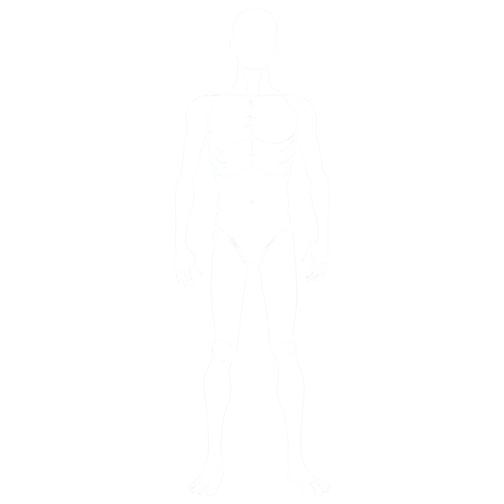 Clean-Human-Body-Silhouette-PNG-Image-for-Anatomical-Design-and-Graphic-Use