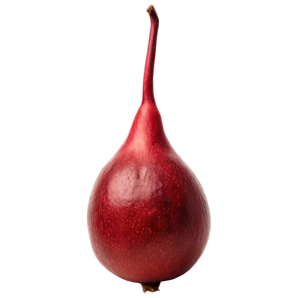 HighQuality-PNG-Image-of-Anar-Capturing-Clarity-and-Detail