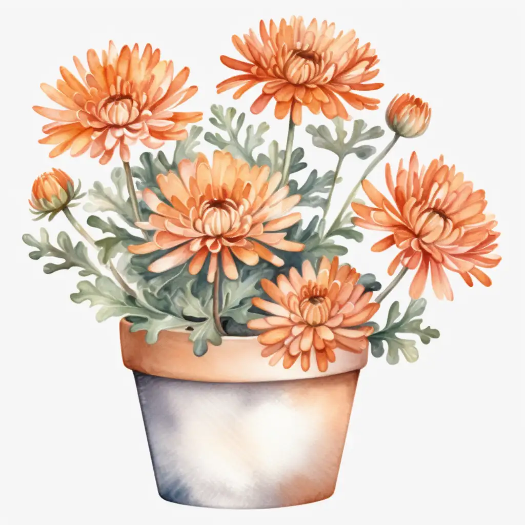 Aesthetic Watercolor Clipart of Full Potted Orange Mum on White Background