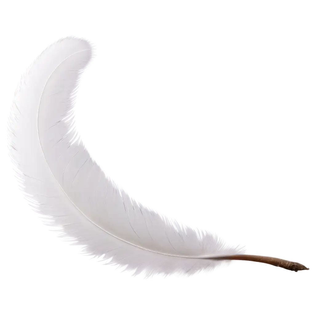 White-Pigeon-Feather-PNG-Image-HighQuality-Transparent-Background-for-Creative-Use