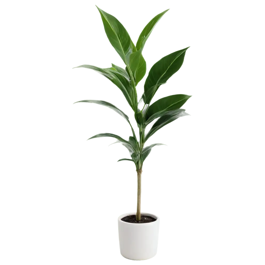 Indoor-Plant-with-White-Top-PNG-Perfect-for-Clean-and-Crisp-Visuals