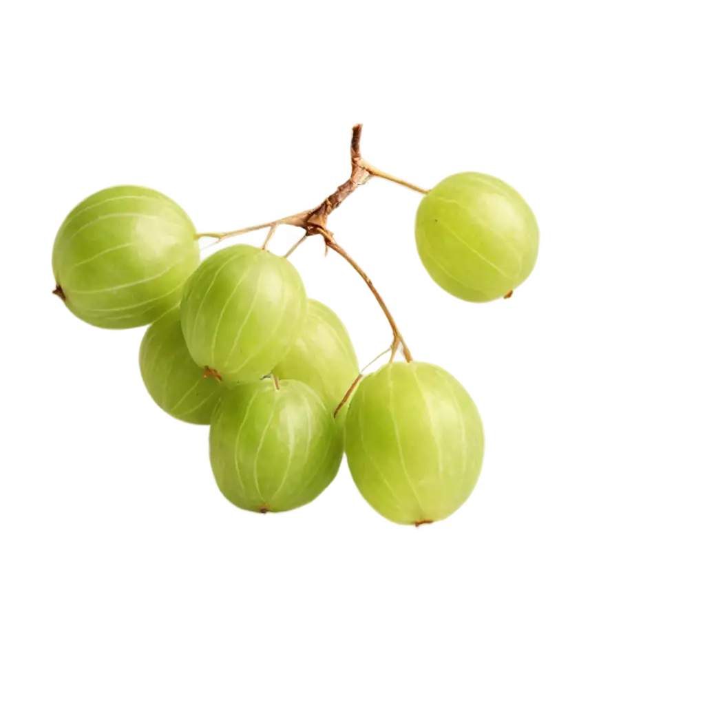 Gooseberry-PNG-Image-HighQuality-Transparent-Artwork-for-Versatile-Uses