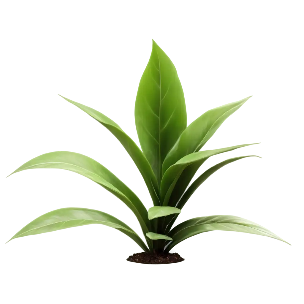 Photorealistic-Small-Houseplant-PNG-Image-High-Resolution-Octane-Render-for-Visual-Perfection