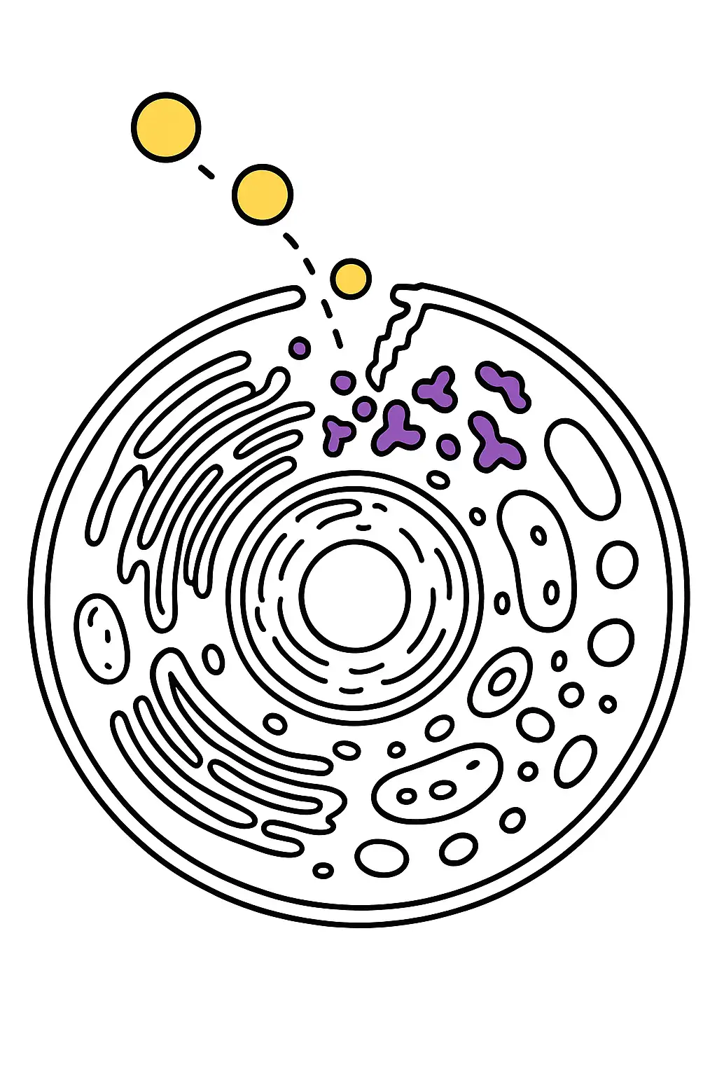 https://file.aiquickdraw.com/imgcompressed/img/compressed_492d8f9bdbd293fabcfca09acc70dd9f.webp