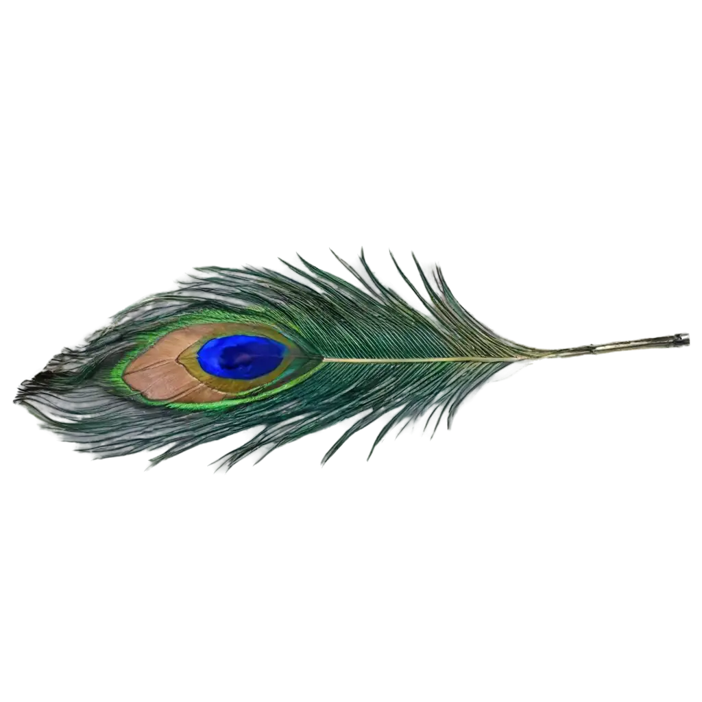 Peacock-Feather-PNG-Image-HighQuality-Transparent-Design-for-Creative-Projects