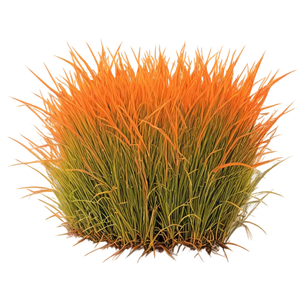 Orange-Grass-PNG-Image-Vibrant-HighQuality-Transparency-for-Creative-Projects