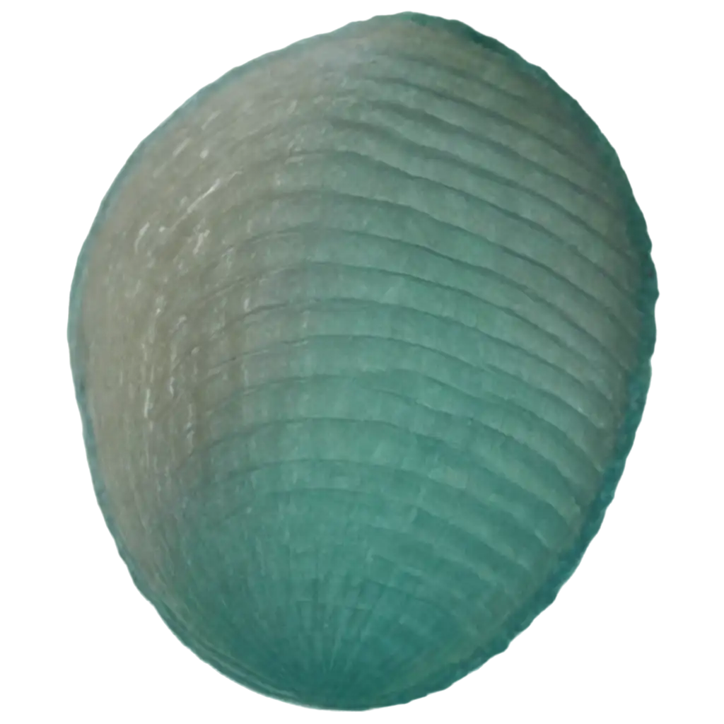 Teal-Seashell-PNG-Image-Perfect-for-Creative-Design-and-Digital-Projects