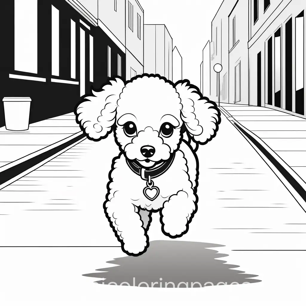 baby poodle running on streets, Coloring Page, black and white, line art, white background, Simplicity, Ample White Space