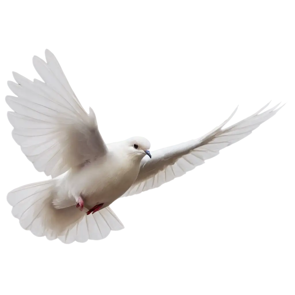 Stunning-Dove-Flying-PNG-Image-Perfect-for-Your-Creative-Projects