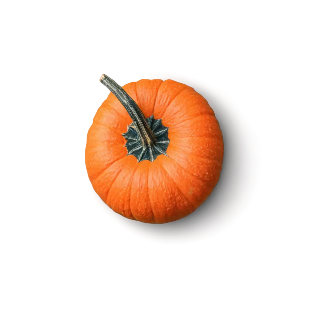 Orange-Pumpkin-from-Above-HighQuality-PNG-Image-for-Versatile-Use