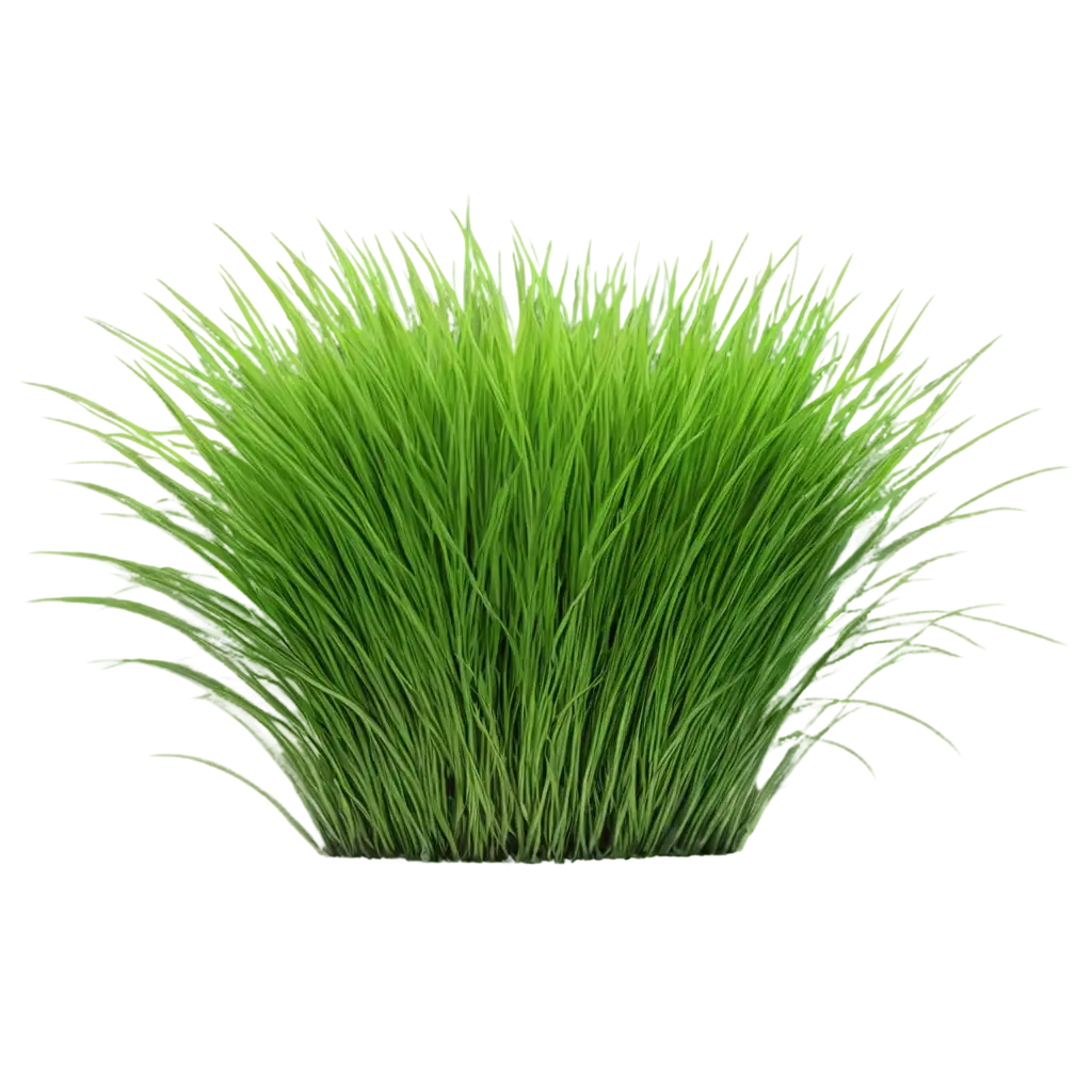 HighQuality-Land-Grass-PNG-Image-for-Versatile-Design-Applications