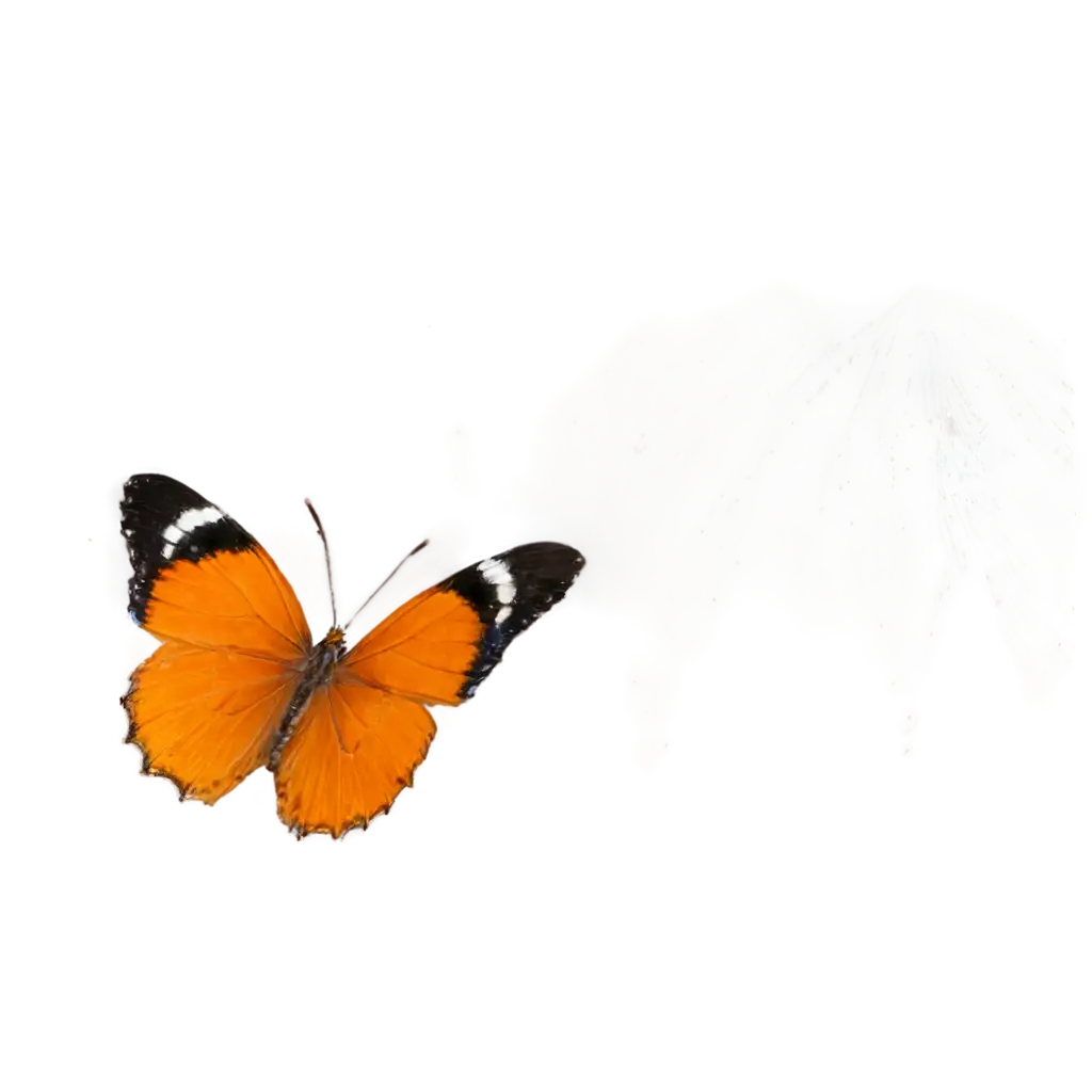 Stunning-Orange-Bright-Butterfly-with-Open-Wings-HighQuality-PNG-Image-for-Your-Creative-Needs