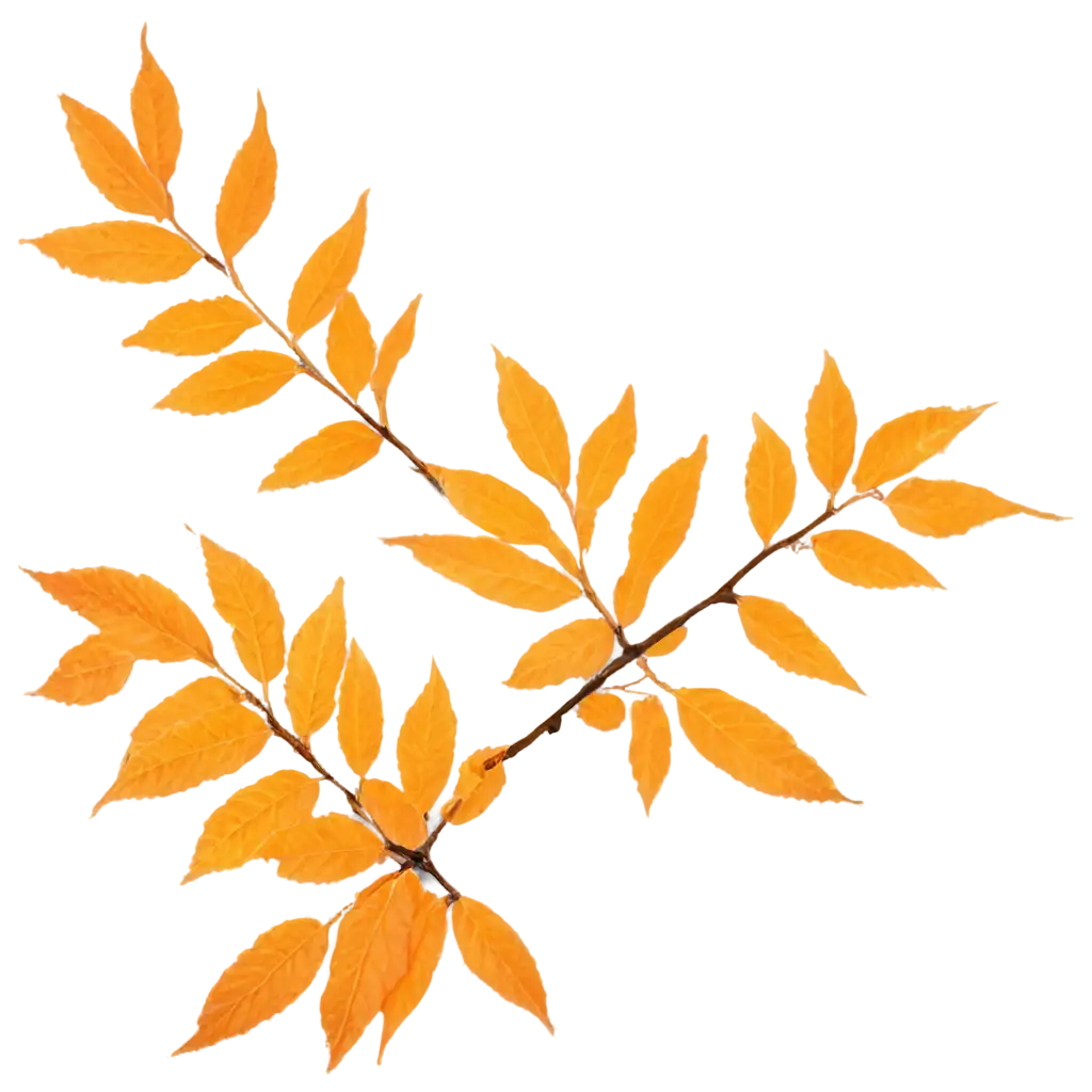 Vibrant-YellowOrange-Rowan-Leaves-PNG-Perfect-for-NatureInspired-Designs