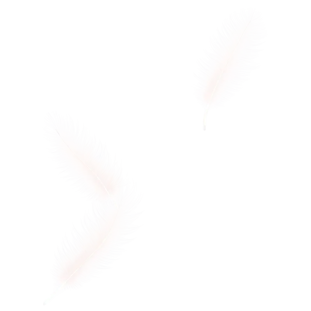 Flying-Feathers-and-Down-PNG-Image-for-Clear-HighQuality-Designs