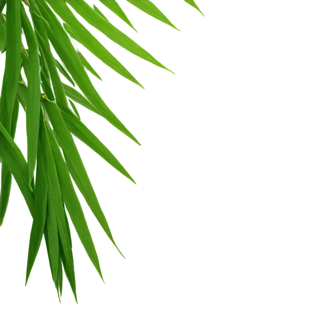 HighQuality-Bamboo-Leaves-PNG-Image-for-Versatile-Design-Use