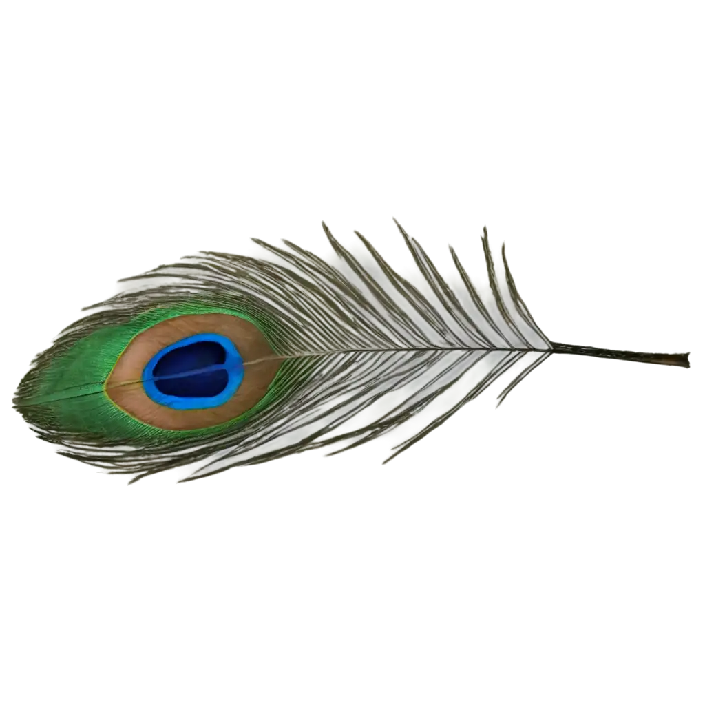 Stunning-Peacock-Feather-PNG-Elevate-Your-Designs-with-Vibrant-Clarity