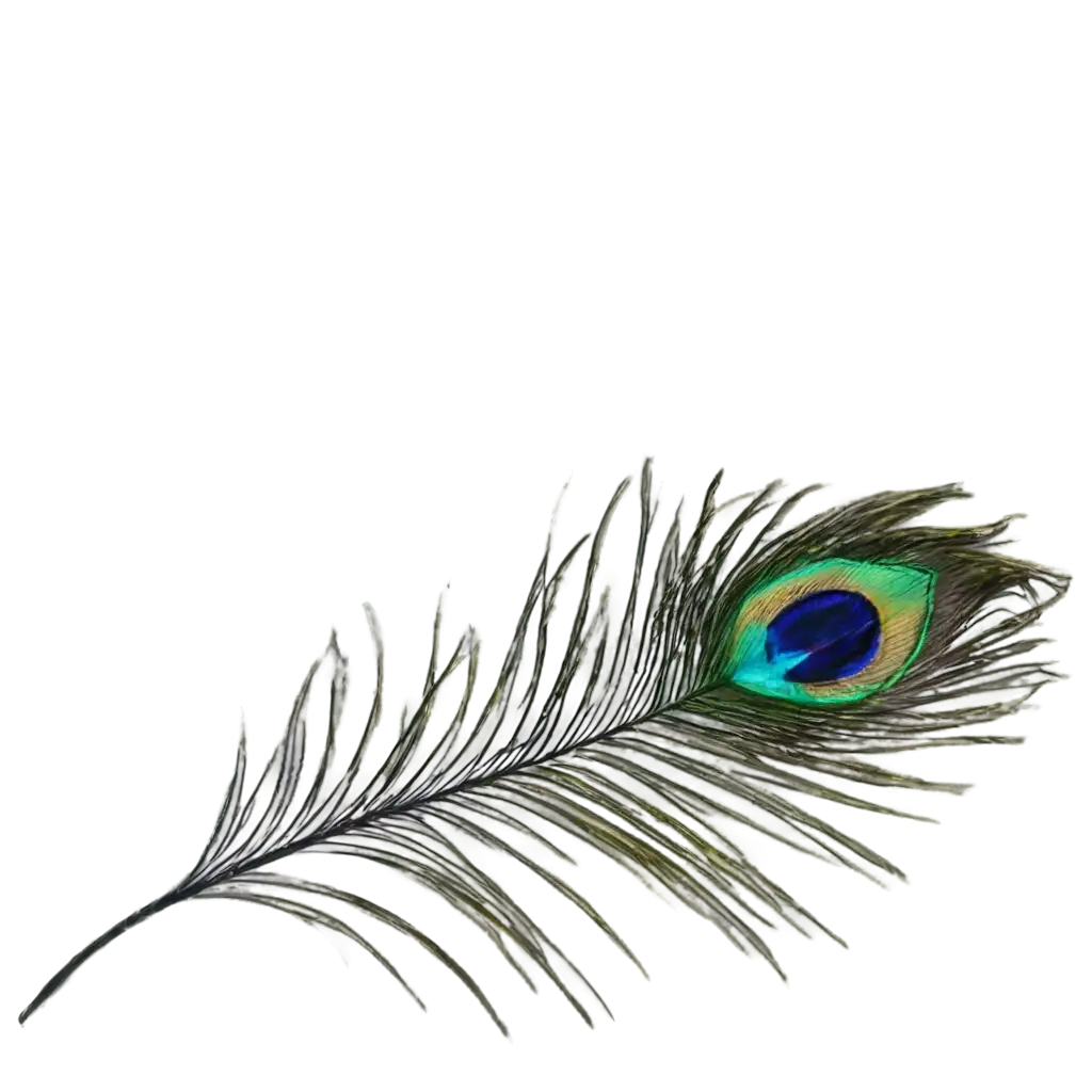 Stunning-Peacock-Feather-PNG-Image-for-Versatile-Design-Applications