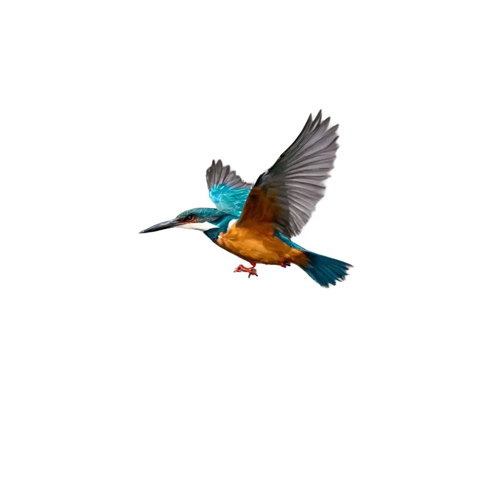 Flying-Kingfisher-PNG-Image-for-Stunning-Clarity-and-Versatility