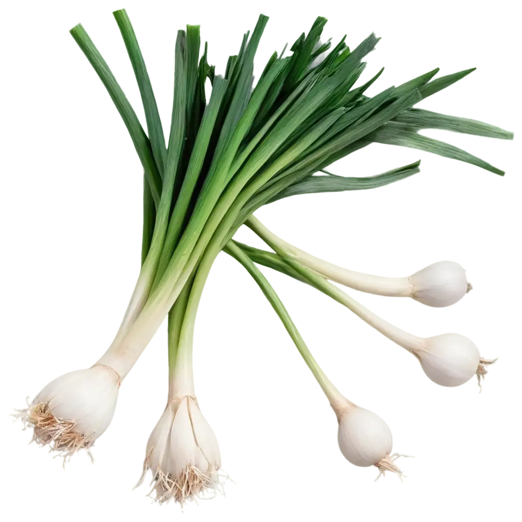 Fresh-Green-Onions-PNG-Image-HighResolution-Photorealistic-Culinary-Herb-with-Transparent-Background