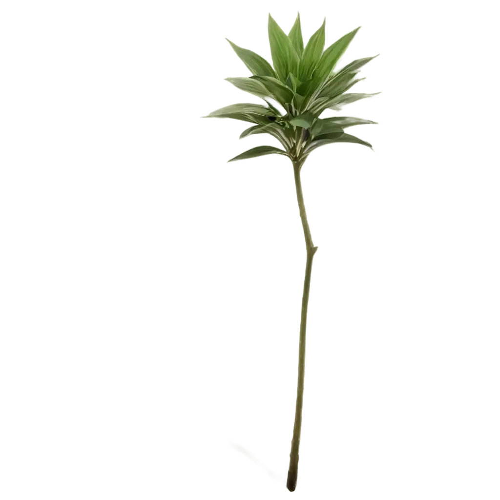 Indoor-Plants-PNG-HighQuality-Transparent-Image-for-Every-Creative-Project